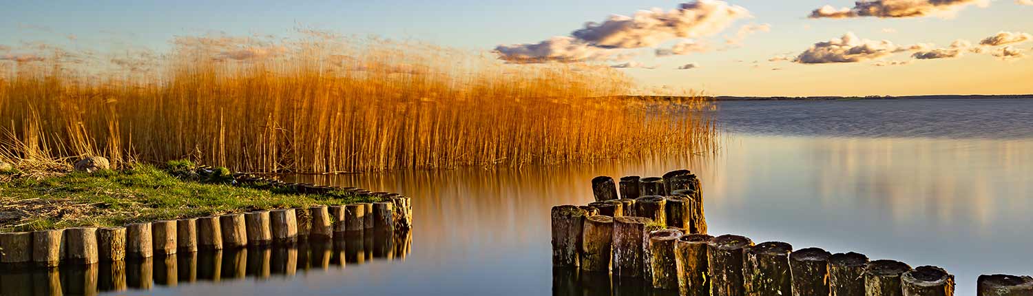 Schilf Sonnenaufgang Wellenbrecher ruhiges Gewässer Wolken Gras Insel Usedom