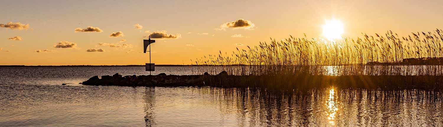 Sonnenuntergang Schilf ruhiges Gewässer oranger Himmel Wolken Insel Usedom