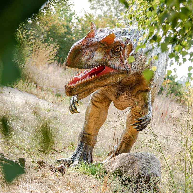Dinopark Mölschow Dino Dinosaurier Fleischfresser Nahaufnahme Dino im Hintergrund Gräser Bäume Insel Usedom