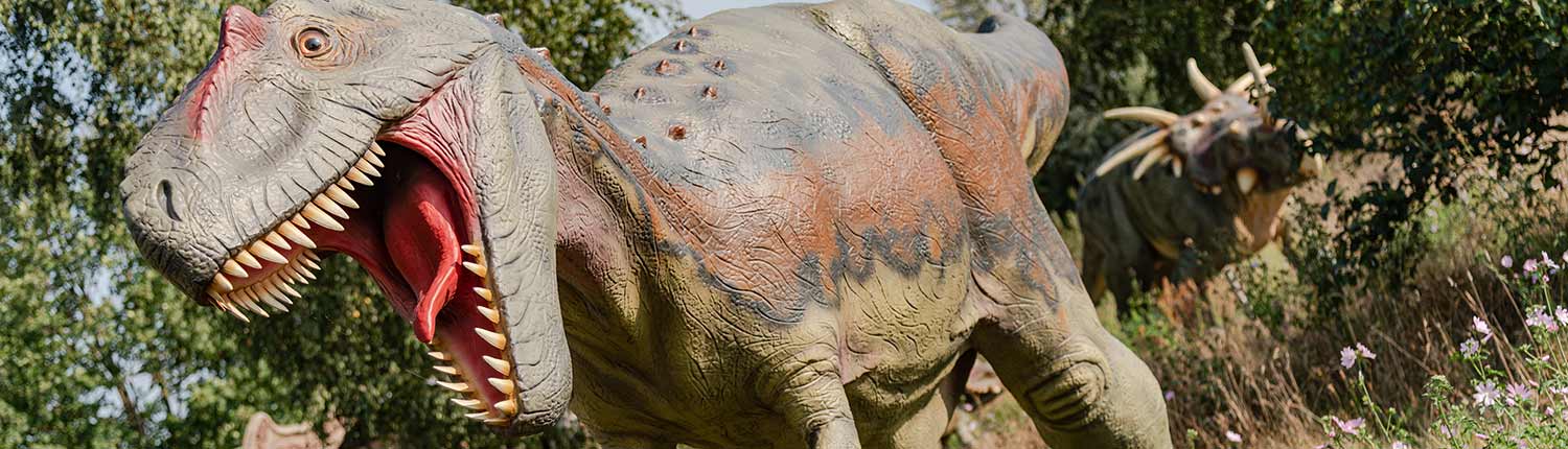 Dinopark Mölschow Dino Dinosaurier Fleischfresser Nahaufnahme Dino im Hintergrund Gräser Bäume Insel Usedom